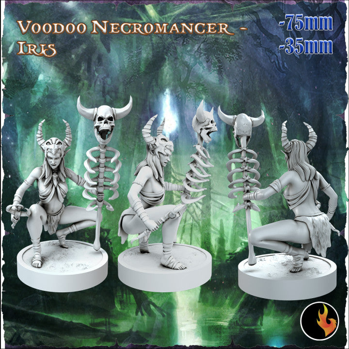 Miniatur Voodoo Necromancer Iris aus dem Fantasy Elves Vol I-Set