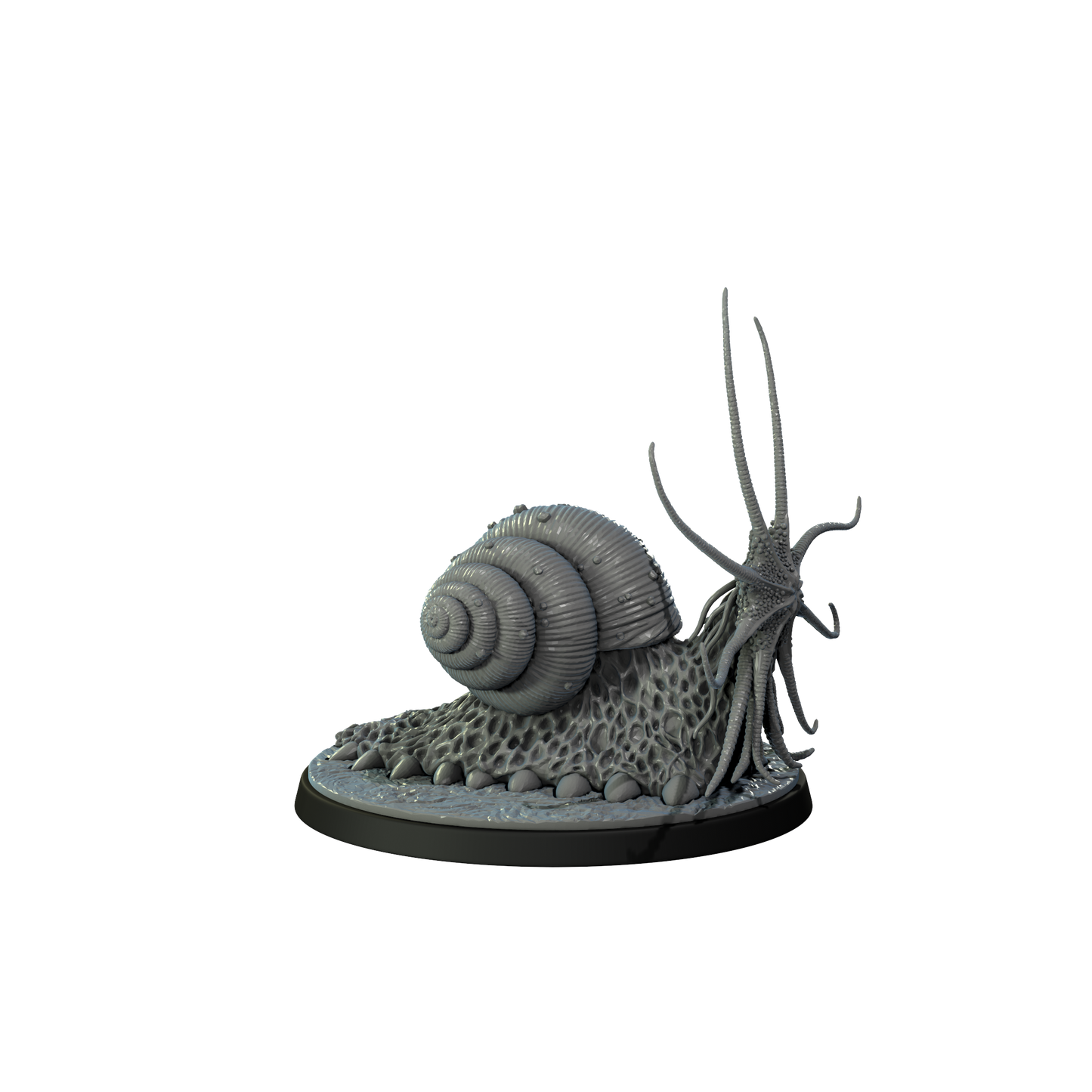 SNAILNOKOLOTH